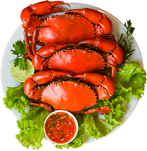 Fresh Crab Plate